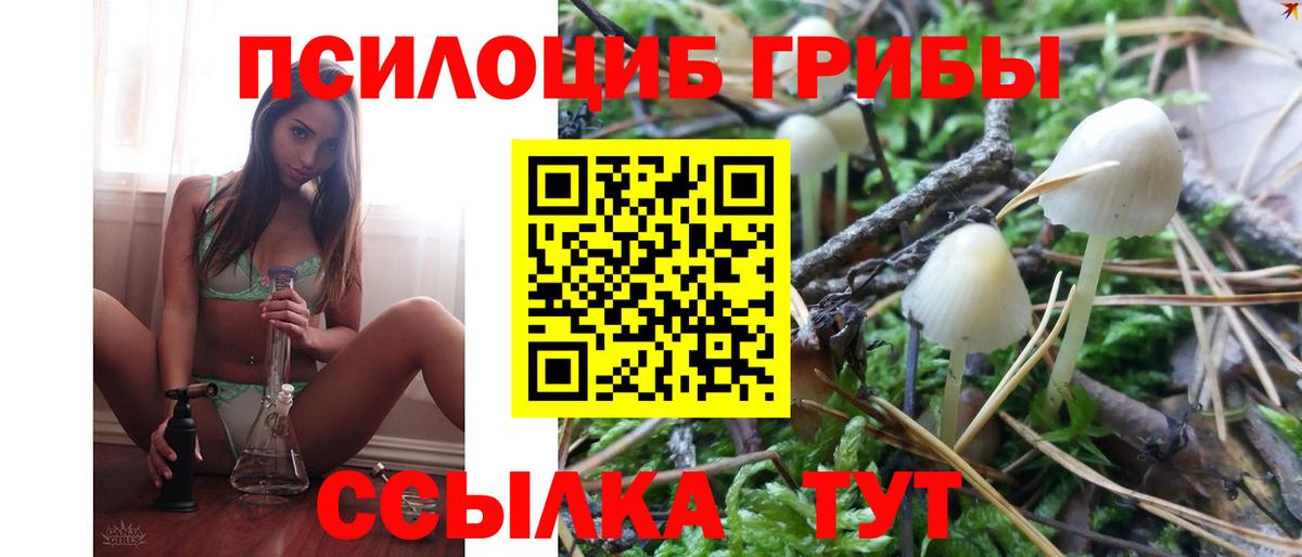 купить наркотики сайты  Вход с VPN  Кострома  Псилоцибиновые грибы Psilocybine cubensis  Псилоцибиновые грибы Cubensis 